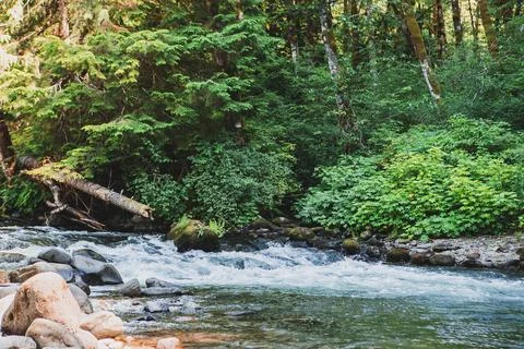 View of the mountain river in the Oregon forest Stock Photos