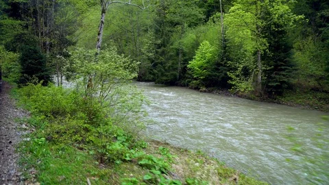 View of the mountain river from the retro-train Stock Footage 129624561