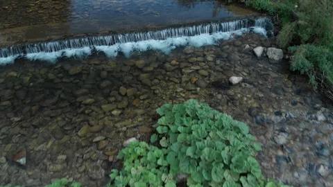 View of Mountain River Stream and Vegetation Stock Footage 95004593