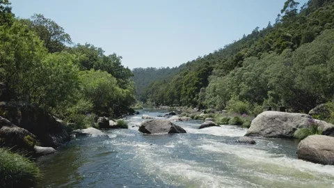 View from a mountain river, surrounded by steep mountains with eucalyptus Video stock 295068477