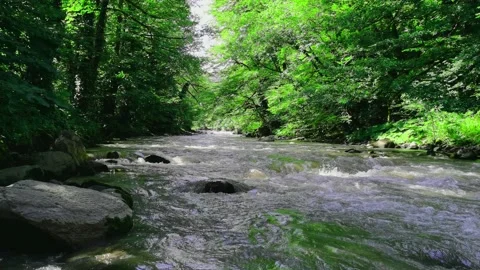 View of mountain river water Stock Footage 132993629