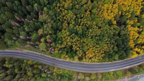 View of the mountain road in the autumn mountains of Dombai Stock Footage 257096981
