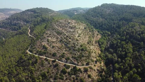 View of a mountain road in the Forest of All Saints in Israel Stock Footage 245725528