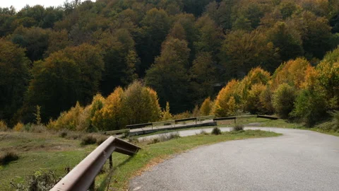 View of a mountain road surrounded by forest, autumn Video stock 231996344