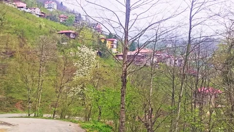 A view of a mountain road with trees and houses Stock Footage 272718746