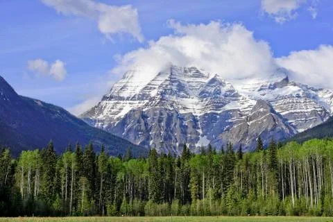 View of Mountain Robson Stock Photos