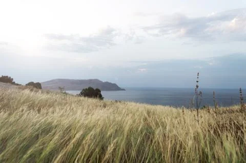 View of the mountain in the sea. grass in defocus in the foreground. Stock Photos