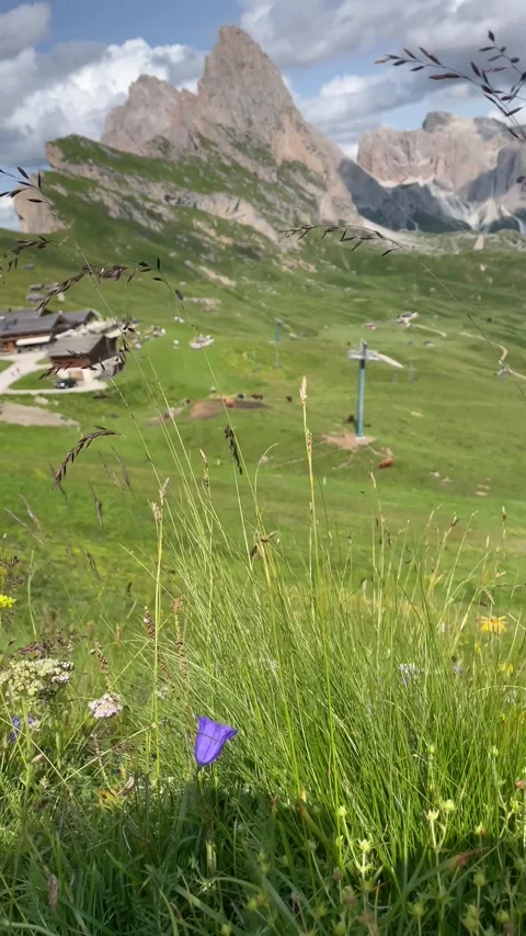 View of mountain Seceda with green meadows and wild flowers 動画素材 284463556