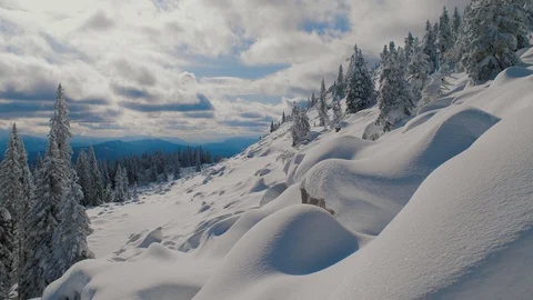View of mountain slope with snow covered rocks and cliffs Stock Footage 125763659
