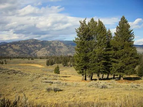 View to a mountain with some trees on a field Stock Photos