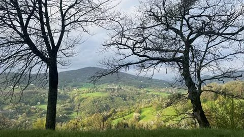 View of a mountain spring landscape between two silhouettes of trees Stock Photos