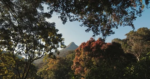 View of the mountain Sri Pada Adam's Peak Video stock 85880802