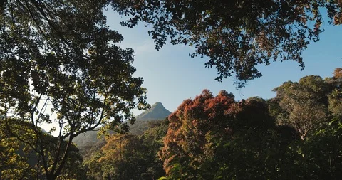 View of the mountain Sri Pada Adam's Peak Video stock 85881055