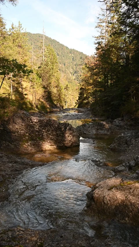 View of a mountain stream in autumn, vertical shot Stock-Footage 260925633