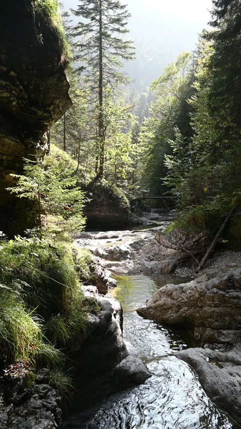 View of a mountain stream flowing between rocks in a forest, evening sun Video stock 260931571