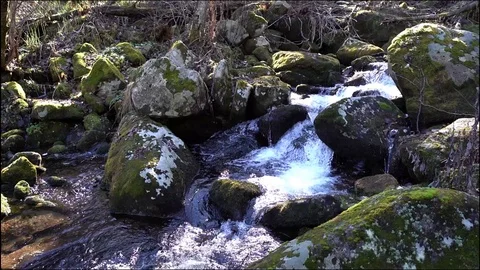 A view of a mountain stream that flows down a slope of stones Stock Footage 96492279