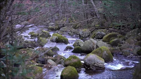 A view of a mountain stream that flows down a slope of stones Stock Footage 96492403