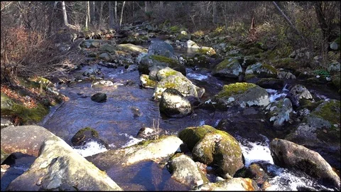 A view of a mountain stream that flows down a slope of stones Stock Footage 96492424