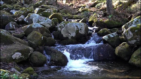 A view of a mountain stream that flows down a slope of stones Stock Footage 96492502