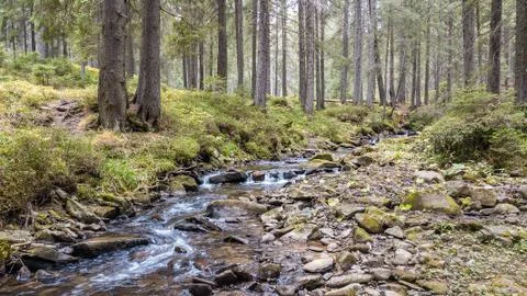 A view of a mountain stream that flows down a slope of stones Stock Photos