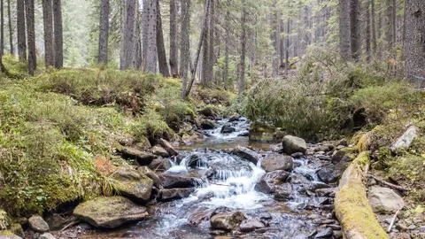 A view of a mountain stream that flows down a slope of stones Foto stock