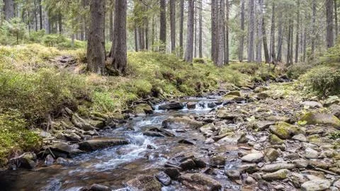 A view of a mountain stream that flows down a slope of stones Stock Photos