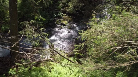 View of the mountain stream Stock Footage 112274986