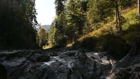 View of a mountain stream in a forest in autumn 스톡 동영상 260863181