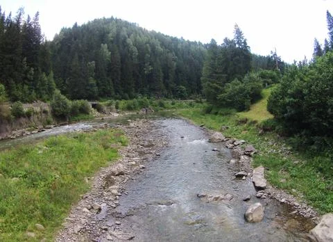View of a mountain stream from a height in summer Stock Photos