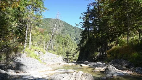 View of a mountain stream in late summer Stock Footage 260863098