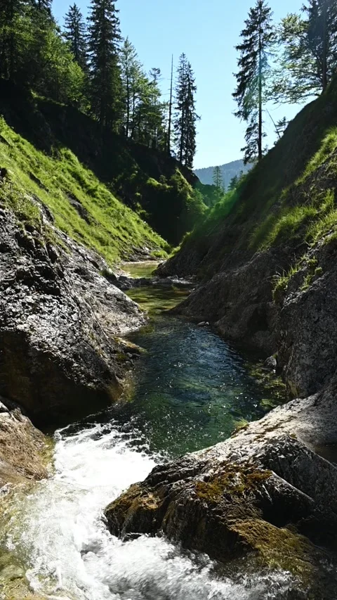 View of a mountain stream with a pond with green water in summer evening,slow-mo Video stock 260879839