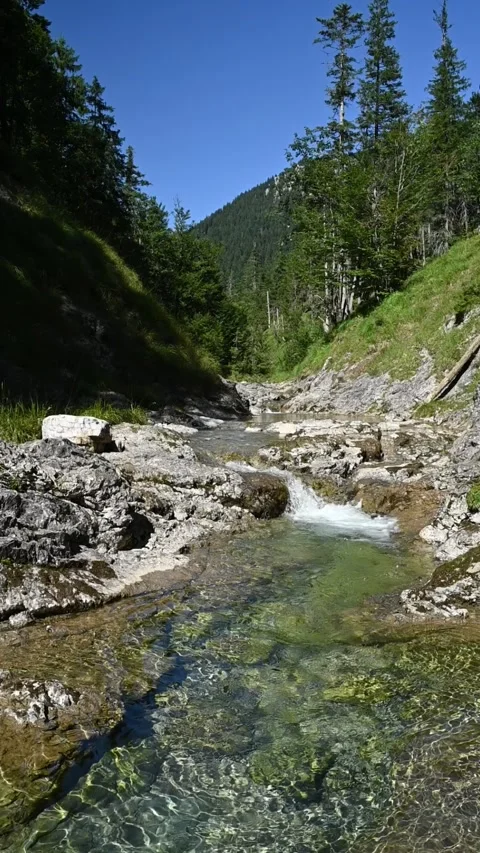 View of a mountain stream with sunlight effects in summer, Glasbach, vertial Stock-Footage 260879542