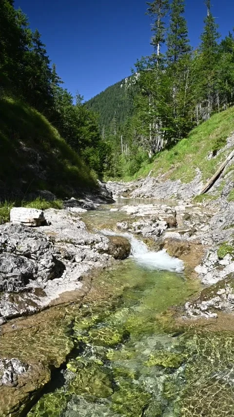 View of a mountain stream with sunlight effects in late summer, slow motion Stock Footage 260879554