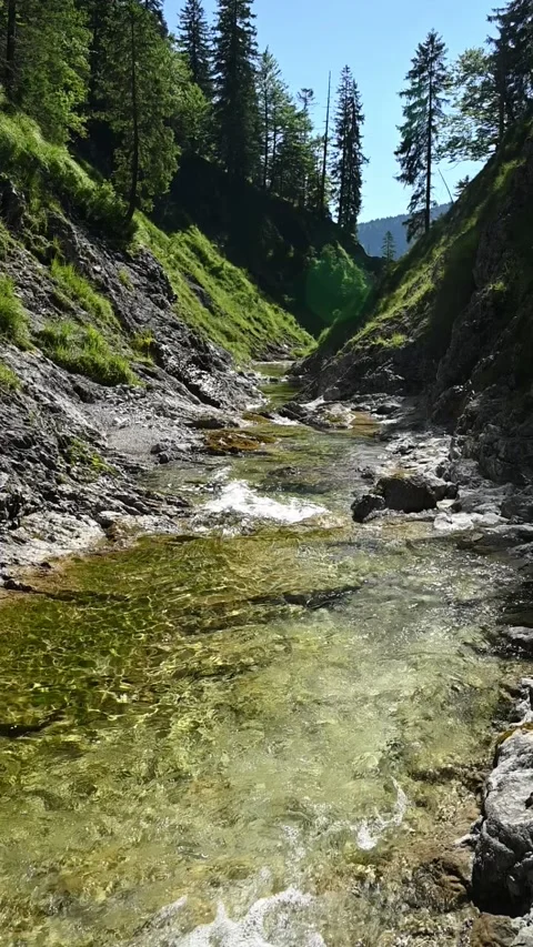 View of a mountain stream with sunlight effects in summer, Glasbach, slow motion Video stock 260879674