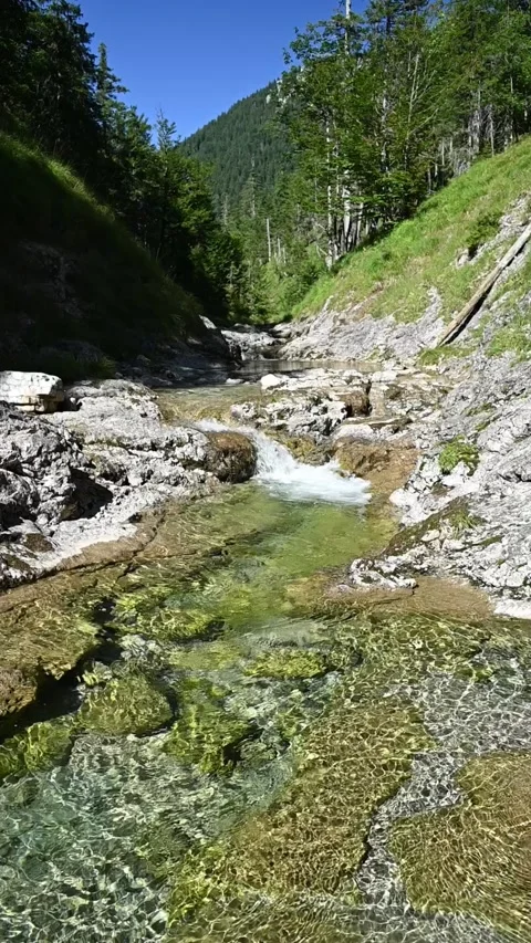View of a mountain stream with sunlight effects in late summer, slow motion Stock Footage 260879798