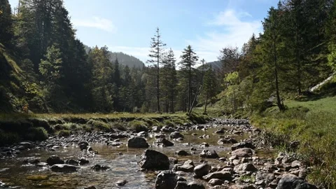 View of a mountain stream in a valley with a forest in late summer 스톡 동영상 260940417