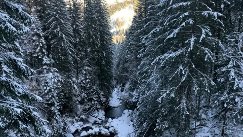 View of the mountain stream in a winter forest on sunny day Stock Footage 191051038