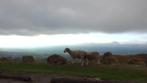 View from the mountain Te Mata Peak to the mountain ranges and hills Stock Footage 131774041