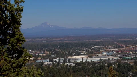 View of Mountain Through Trees in Bend Oregon Stock Footage 249764340