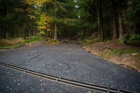 View of the mountain trail during wet autumn weather Stock Photos