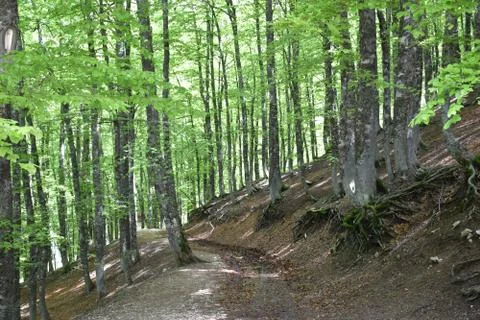View of mountain trail  스톡 사진
