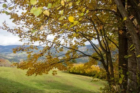 View from the mountain into the valley between Micheldorf and Grafendorf, C.. Foto stock