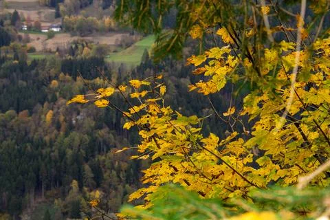 View from the mountain into the valley between Micheldorf and Grafendorf, C.. Stock Photos
