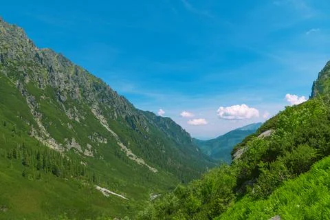 View of the mountain valley. Path in the mountains. Roztoka Valley. Beautiful Stock Photos