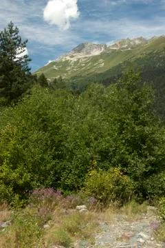 View of the mountain valley 写真素材