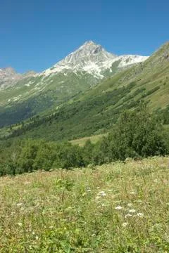 View of the mountain valley Stock Photos
