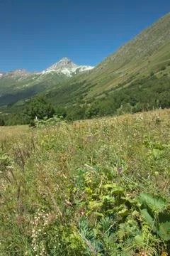 View of the mountain valley Stock Photos