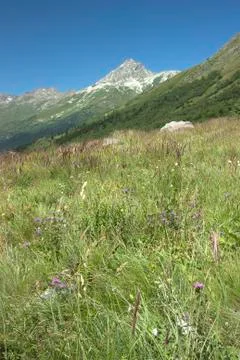 View of the mountain valley Foto stock