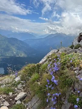 View into a mountain valley Stock Photos