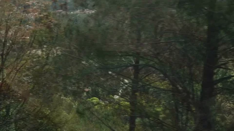 View of mountain valley from side window of moving train. Stock Footage 115547062